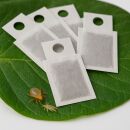 Amblyseius andersoni Sachet 25 pcs - Against Spider Mites