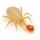 Amblyseius andersoni Sachet 25 pcs - Against Spider Mites