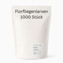 1000 Lacewing Larvae - Versatile Beneficial Insect for...