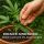 500 Live Aphid Larvae - Versatile Beneficial Insect for Pest Control