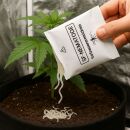 SF Nematodes 1 Million - Beneficial Nematodes for Fungus...