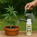 Neemöl 100 ml – Für Pflanzenpflege