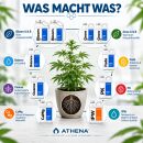 Athena Düngerset XXL - Komplett Dünger Set