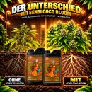 Advanced Nutrients pH Perfect Sensi Coco Bloom A&B 500 ml - Optimized for Hydroponic Growth