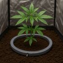 Water Master Tropf Ring 25 cm