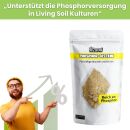 Bio2Grow Phosphor-Gestein 3500 Gramm – Natürliche Phosphorquelle