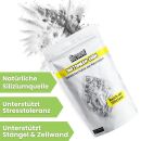 Bio2Grow Diatomenerde 1 Kg – Natürliches...