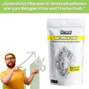 Bio2Grow Diatomenerde 2,5 Kg – Natürliches Silizium-Pulver
