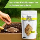 Bio2Grow Fish Meal 1500 Gramm – Hochwirksamer organischer Stickstoff