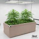 Bio2Grow Living Soil Beet 120x60x45 cm – Hochwertiges Pflanzbeet