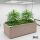 Bio2Grow Living Soil Beet 120x60x45 cm – Hochwertiges Pflanzbeet