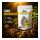 Bio2Grow Trichoderma 500 Gramm – Natürlicher Bodenvitalisierer