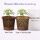 Vermiculite Set - Substrat