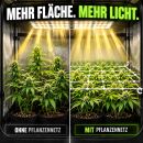 Pflanzennetz Web-IT 60 x 40 cm – Rankhilfe Pflanzen