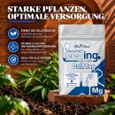 Green House Feeding Calmag 2,5 Kg - NPK Dünger