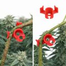 Clip Set Medium - Low Stress Training