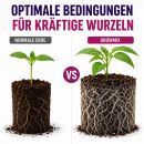 Plagron Growmix 50 Liter Palette 60 Stück –...