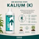 Canna pH Set - Minus & Plus