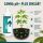 Canna pH Set - Minus & Plus