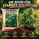 Canna Terra Professionell 50 Liter Palette 60 Stück - Profi Substrat
