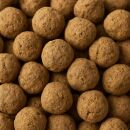 B-WARE Plagron Euro Pebbles 45 Liter SACK DEFEKT