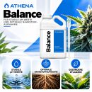 Athena Balance Dünger 18,90 Liter