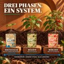 Green House Feeding Bio Starterkit Big - Organischer Dünger