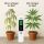Digitales EC-Messgerät Set - Grow Anbau