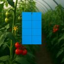 Blautafel gegen Thripse 40x25 cm 12 Stück – Klebefallen für Thripse