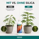 Canna Silica 1 Liter - Silizium Dünger