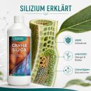 Canna Silica 1 Liter - Silizium Dünger