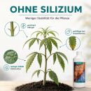 Canna Silica 250 ml - Silizium Dünger