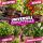 B-WARE Plagron Growmix 50 Liter SACK DEFEKT