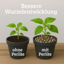 Plagron Perlite 10 Liter – Bodenbelüfter Mineralisch