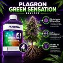 Plagron Green Sensation 500 ml – Blütebooster All-in-One Klein