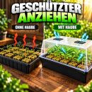 Gewächshaus Hartplastik - Anzucht Stecklinge