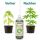 MHD ABGELAUFEN BioBizz Alg-a-mic 500 ml - Organischer Vitalisierer aus Algen